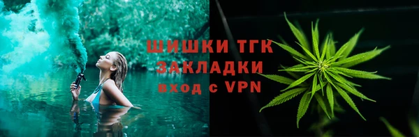 дмт Арсеньев