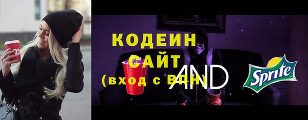 дмт Арсеньев