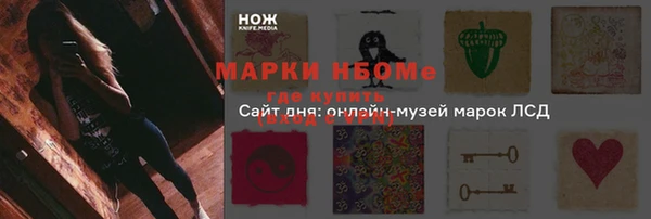 дмт Арсеньев