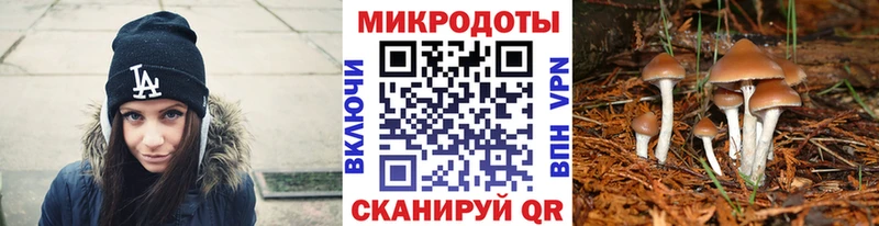Галлюциногенные грибы MAGIC MUSHROOMS  Нязепетровск 